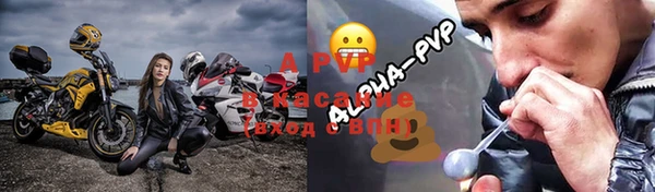 индика Аркадак