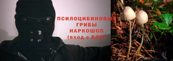 а пвп мука Пересвет