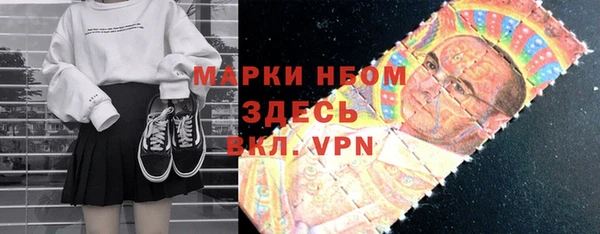 индика Аркадак